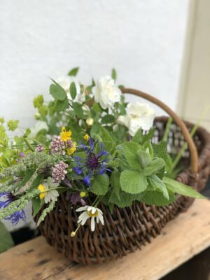 Le panier à cueillette