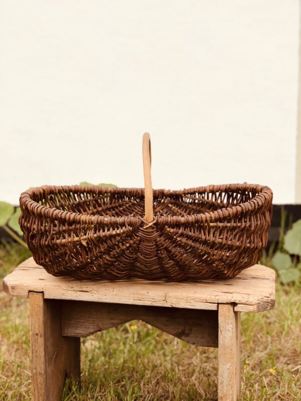 Le panier à cueillette – Image 2