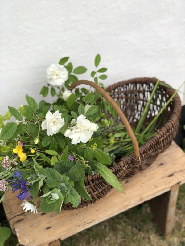 Le panier à cueillette – Image 3