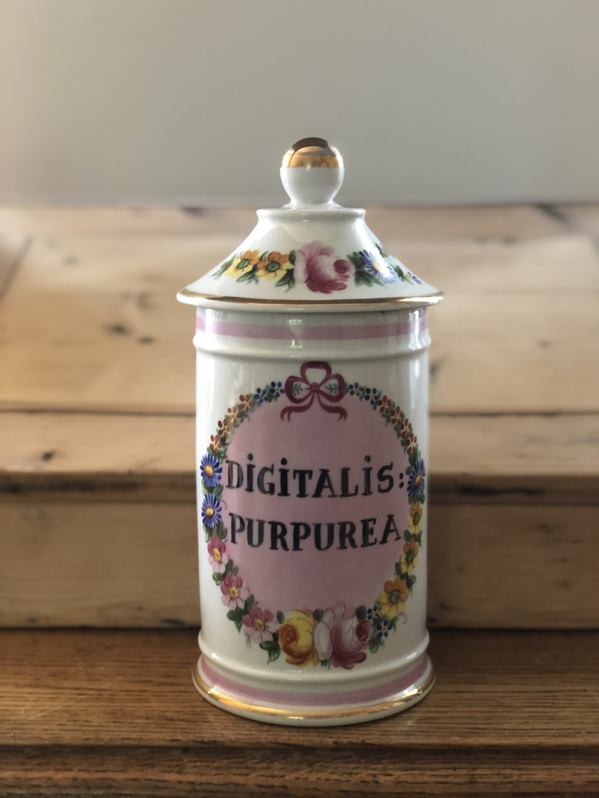 La paire de pots à pharmacie « Camomille Romaine » et « Digitale Pourpre », XIXème