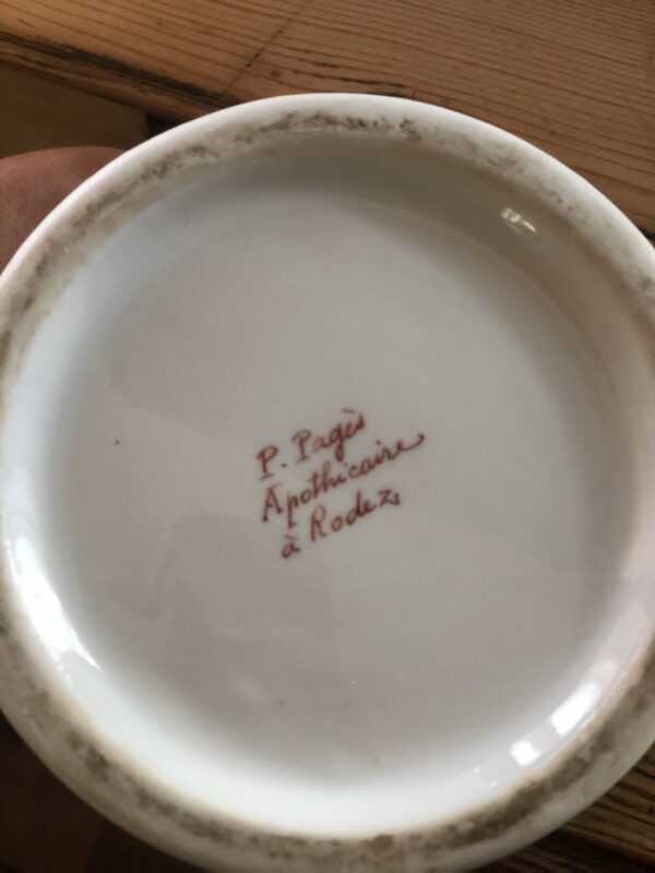 La paire de pots à pharmacie "Camomille Romaine" et "Digitale Pourpre", XIXème – Image 5