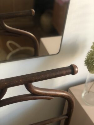 Le valet de chambre Fischel